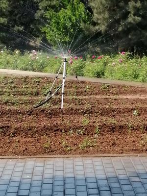 大田喷灌 &nbsp;&nbsp;案例1