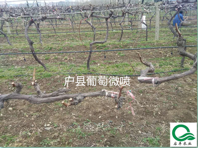 微信图片_2017122509313933_副本.jpg