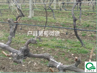 微信图片_2017122509313934_副本.jpg