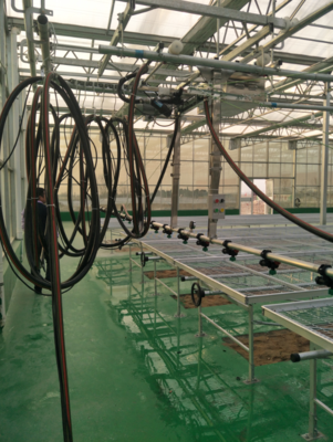 澄城移动式喷灌 &nbsp;&nbsp;&nbsp;案例2